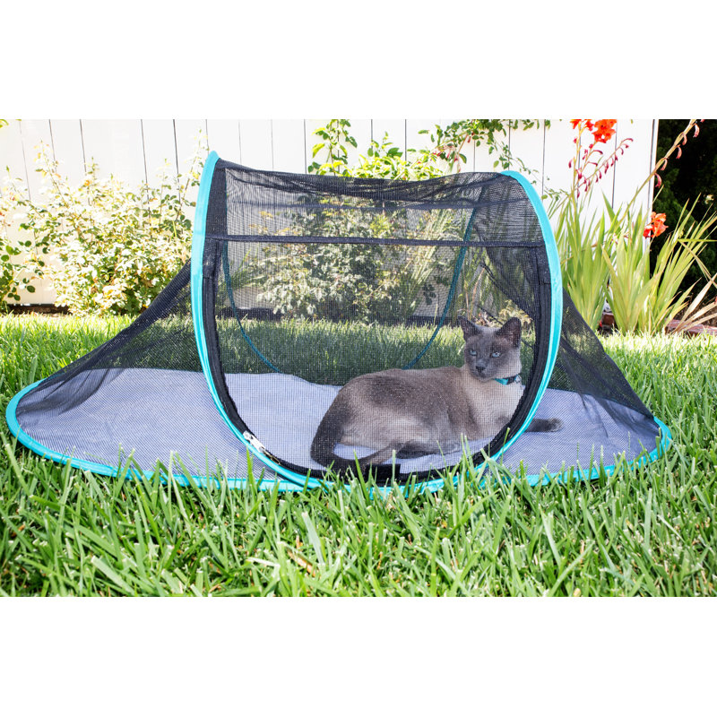 Nala and Company Catio Outdoor Pet Enclosure Playpen & Reviews Wayfair